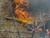 Fire wildfire generic_tiny